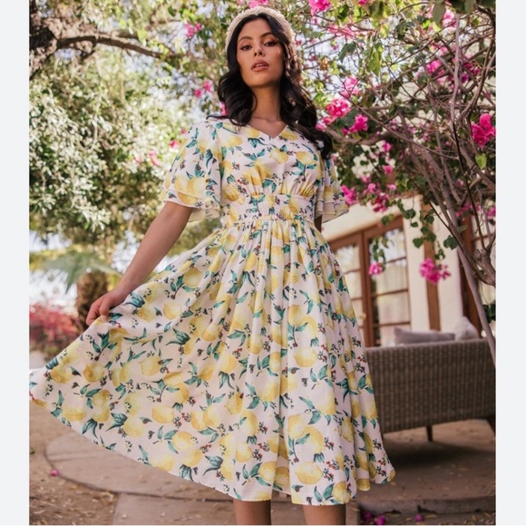 JessaKae Dresses & Skirts - JessaKae Lemon Limon Midi Dress XL
